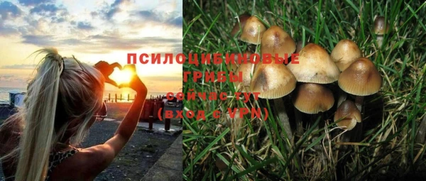 Альфа ПВП Нея