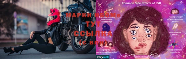 амф Нефтегорск